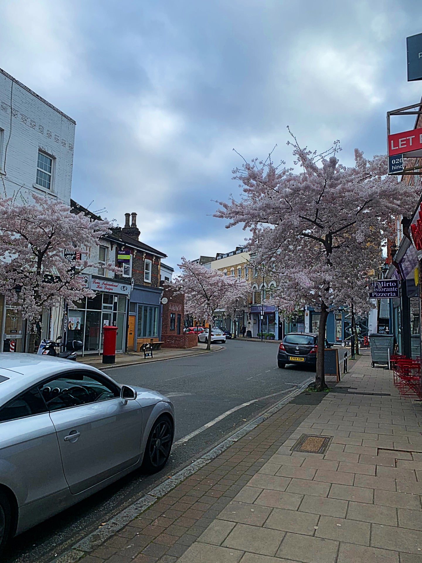 Beautiful cherry blossoms at Melbourne Grove